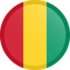 Guinea Logo