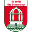 Bad Schallerbach Logo
