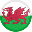 Galles U21 Logo