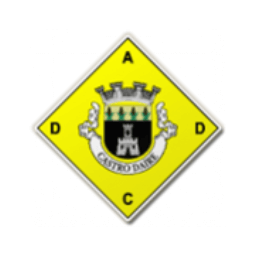 Castro Daire Logo