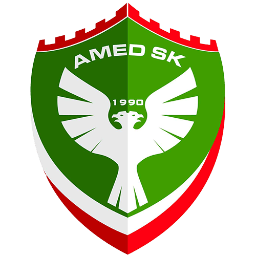 Amed Logo