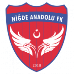 Niğde Anadolu FK
 Logo