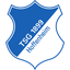 Hoffenheim Logo