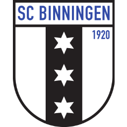 Binningen Logo